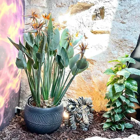 Le Jardin Secret Apartment Pontoise Exterior photo
